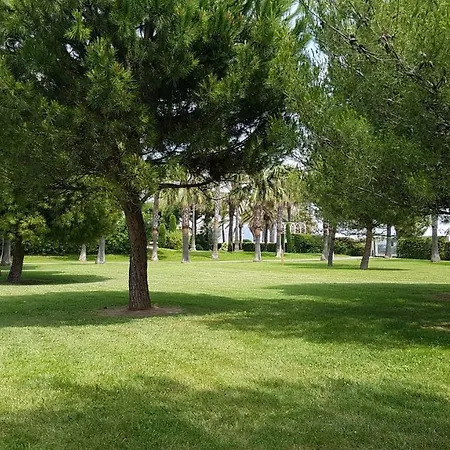 Apartment T2 Rez De Jardin Front De Cannes